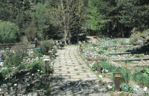 giardino botanico alpino rezia