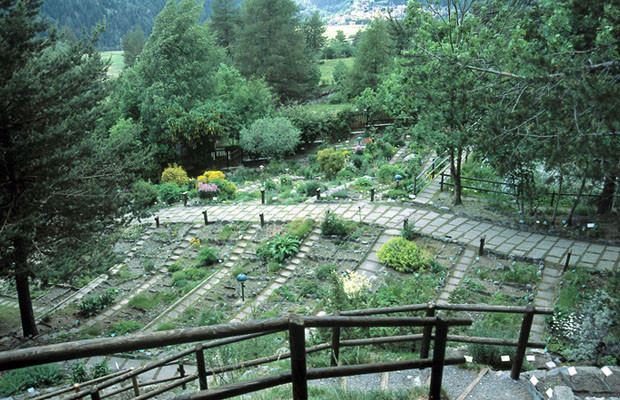 giardino botanico alpino rezia interno
