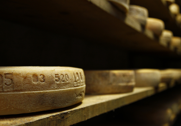 Formaggio Casera