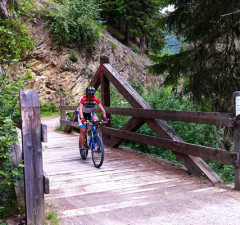Mountain Bike Bormio