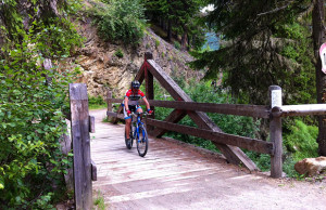 Mountain Bike Bormio