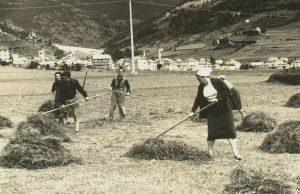 Statuti di Bormio