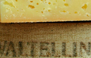 formaggi valtellinesi