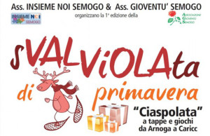 svalviolata di primavera valdidentro