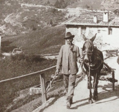 Konfina Bormio
