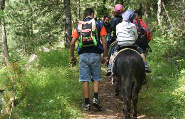 Trekking sugli asinelli Bormio Valdidentro