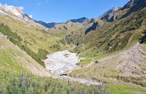 val zebru Parco Nazionale dello Stelvio Bormio