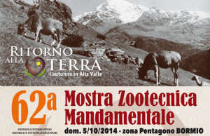 mostra zootecnica Bormio