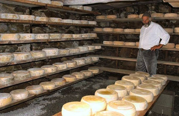 Adotta una mucca formaggi