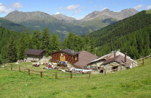 Alpe Boron Adotta una mucca