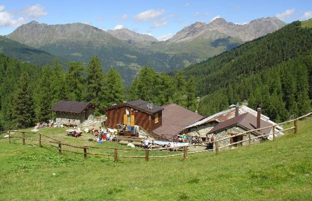 Alpe Boron Adotta una mucca