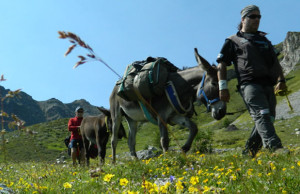 asinar le alpi 2015
