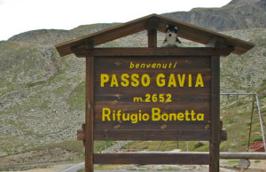 passo gavia mass ride bormio