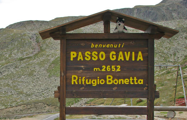 passo gavia mass ride bormio