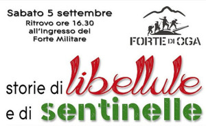 storie di libellule e sentinelle