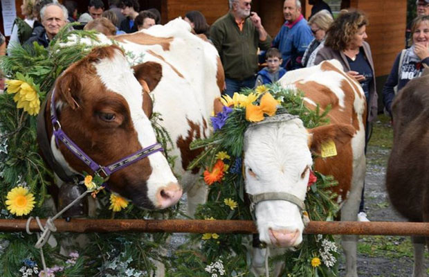 valdidentro mountain feast