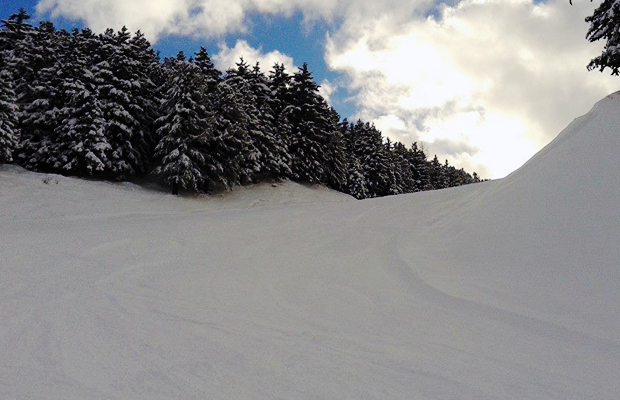 Piste Sci Bormio
