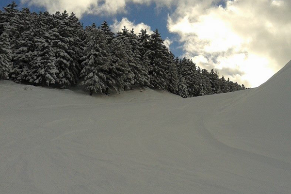 Sciare a bormio