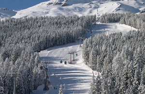 Pista Deborah Compagnoni a Bormio