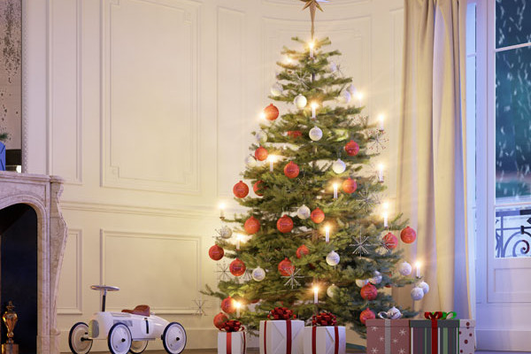 Idee regalo Natale