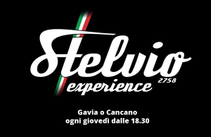 Stelvio Experience