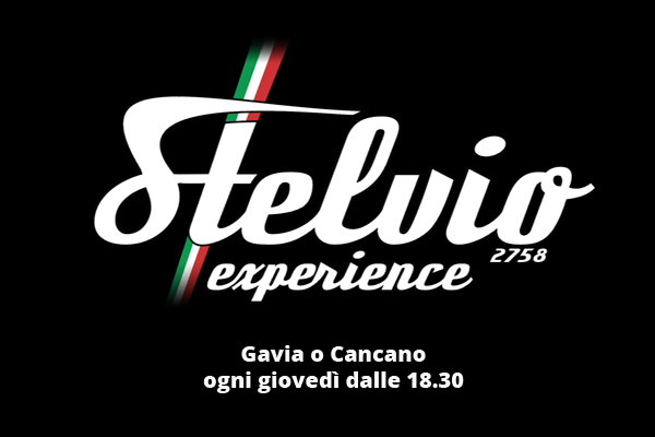Stelvio Experience