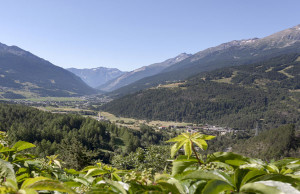 Eventi in programma a Bormio