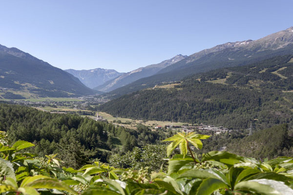 Eventi in programma a Bormio