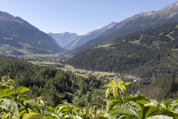 Eventi Bormio settembre 2016