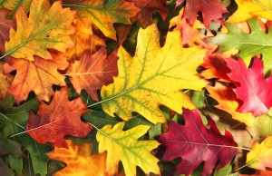 autunno a Bormio