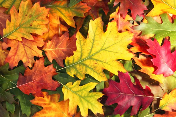 autunno a Bormio