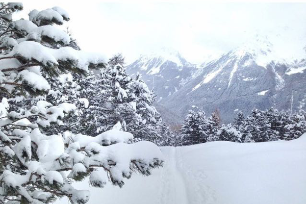 eventi Bormio