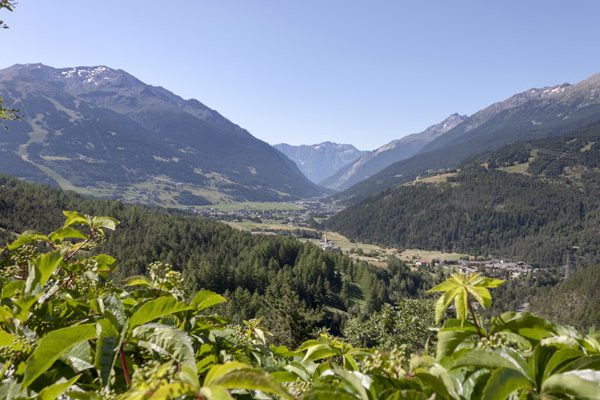 Bormio