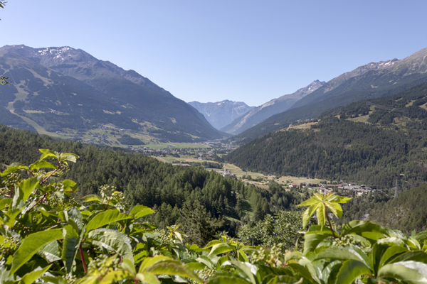 Bormio Eventi Giro d'Italia
